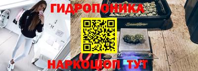 mdma Сланцы
