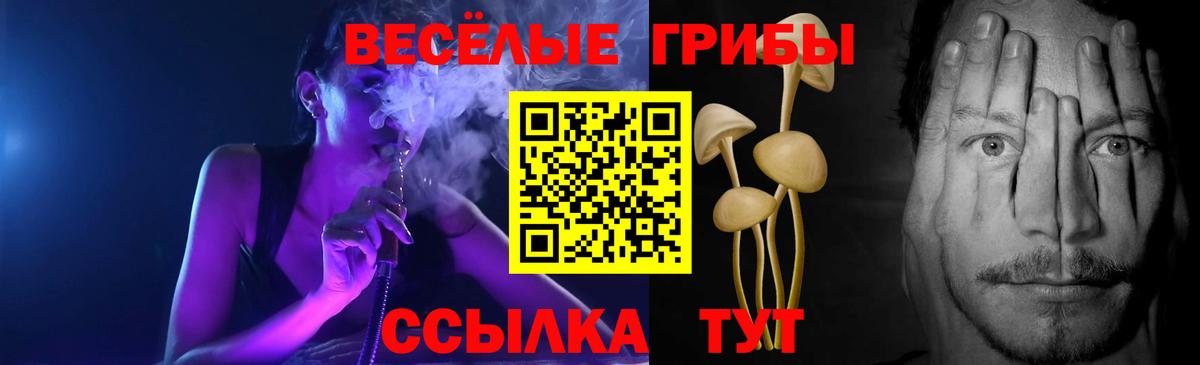 Псилоцибиновые грибы Magic Shrooms  купить закладку  Нефтеюганск  Вход с VPN 